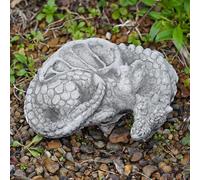 Curled Dragon Stone Garden Statue | Celtic Reconstituted Stone Ornament | Freestanding or Wall Display | Frost-Proof Weatherproof Outdoor Sculpture | Antique Finish | 24cm x 21cm