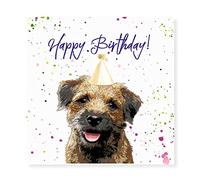 Curled Up Border Terrier Birthday Card - Party Hat