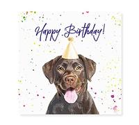 Curled Up Chocolate Labrador Birthday Card - Party Hat