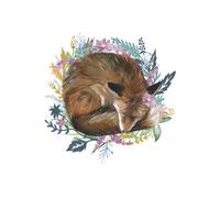 Curled Up Fox Within A Reef Women's T-Shirt - White - M - White