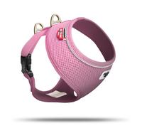 Basic Harness Air-Mesh Pink XS