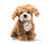 Curlie Cockapoo