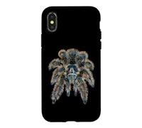 Curly Hair Wooly Tarantula Spider Case for iPhone X/XS
