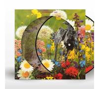Current 93 - Swastikas For Noddy (Pic Disc) [VINYL]