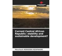 Current Central African Republic: stability and sustainable development?