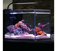 CURRENT Orbit Marine NANO LED 16 Watt Reef LED Saltwater Marine Aquarium Coral Light with Dimming, Moonlight, Cloud Cover & Lighting Storm Clip On Small Fish Tank w/Mounting Bracket (4095)