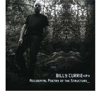 Currie, Billy - Accidental Poetry of the Structure