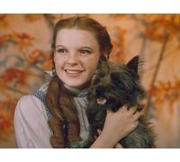 Cursed Films: The Wizard of Oz