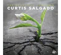 Curtis Salgado - The Beautiful Lowdown