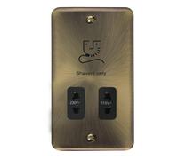 Curved Antique Brass Shaver Socket 115v/230v SE Home Gold One Size