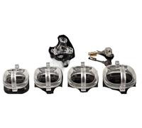 Curved Hook and Loop Ring Chastity Cage Small ABS Devices with 4 Size Cock Rings Sissy SM Lock Sex Toys for Man Gay(Null-Clear)