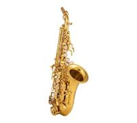 Curved Saxophone Saxophone B-flat Electrophoresis Gold Professional Saxo Saxophone Saxofone (Color : 01)