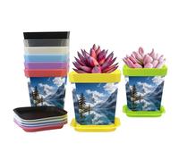 Curved Stone Garden Path Modern Ceramic Flower Pot with Drainage and Saucer for Indoor Plants