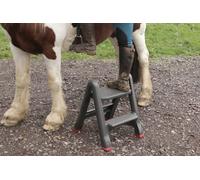 Curver Foldable Step Stool - equestrian mounting block (NEXT DAY DELIVERY)