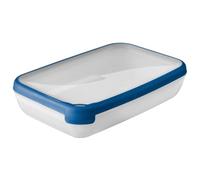 Curver Rectangular Food Container, Transparent/Blue, 2.6 Litre