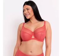 Curvy Kate CK9001 Victory Side Support Balcony Bra Papaya