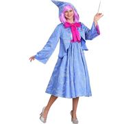 Cusghjbsg Women Fairy God Mother Cosplay Costume Deluxe Hooded Midi Dress Role Play Outfits Halloween Party Club Fancy Dress Up (Blue, XXL)