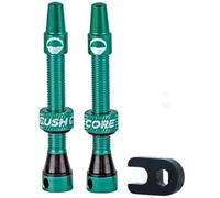 CushCore Tubeless Presta Valves Turqoise
