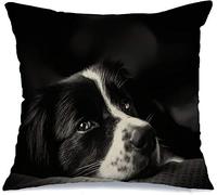 Cushion Cover Case Face Emotion Shepherd Doggy Domestic Australian Mix Black Ears White Border Animals Wildlife Plush Throw Pillow Covers Soft Chair Pillowcases, For Garden, Sofa, Party, 45x45cm
