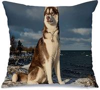 Cushion Cover Case Landscape Nature Siberian Cold Husky Runner Dog Russia Winter Plush Throw Pillow Covers With Invisible Zipper Decorative Pillowcases, For Furniture, Home, Patio, 45x45cm