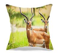 Cushion Cover Case Territorial Chasing Antelope Wild In Environment Savanna Square Throw Pillow Case Soft Decorative Pillowcases, For Living Room, Indoor, Bar, 45x45cm