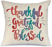 Cushion Cover Case Thankful Text Motivational Life Grateful Blessed On White Word Sign Font Cushion Case Printed Decorative Pillowcases, For Bed, Party, Bedroom, 45x45cm