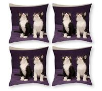 Cushion Cover Pillowcase Cotton Linen Cat Mammal Vertebrate-up Durable Cotton Linen Throw Pillow Case Home Decor for Halloween Easter Gifts 4 1 Set 50x50cm