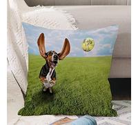 Cushion Covers 18x18 Inch,a Cute Basset Hound Chasing a Tennis Ball in a Park or Yard on The Grass,Throw Pillow Cover Soft Pillowcases with Invisible Zipper for Sofa and Couch 45x45cm