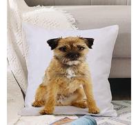 Cushion Covers 18x18 Inch,Young and Active English Border Terrier,Throw Pillow Cover Soft Pillowcases with Invisible Zipper for Sofa and Couch 45x45cm