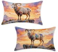 Cushion Covers 40x70 cm Pillow Cases 2 Pack Sunset Decoration Sofa Cushion Covers 40 x 70 cm Outdoor Pillows Sheep Rectangular Linen Pillowscase for Garden Bench Couch Summer, Home Decoration 6-54W63