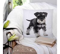 Cushion Covers 45x45 cm, Polyester Square Throw Pillow Cases,Puppy Miniature Schnauzer in Front of White Background, Cushion Cover for Sofa Couch Bedroom with Invisible Zipper, 18x18 Inches