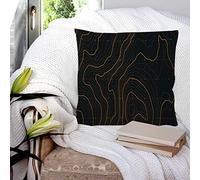Cushion Covers 45x45 cm, Polyester Square Throw Pillow Cases,The Stylized Height of The Topographic map Contour in Lines and C, Cushion Cover for Sofa Couch Bedroom with Invisible Zipper, 18x18 Inches