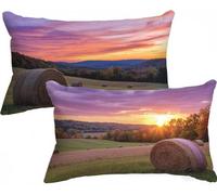 Cushion Covers 50 x 80 Sunset Pillow Cases 2 Pack Linen Landscape Cushion Covers Soft Fluffy Sofa Pillows Double-Sided Printing Decorative Pillows with Invisible Zipper for Livingroom Bedroom X-125
