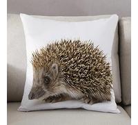 Cushion Covers 50 x50cm Square Throw Pillow,Hedgehog,Small Cute Mammal with Spiked Hair on Its Back and Sides Wildlif,Decorative Sofa Cushion Covers for Bedroom Couch Living Room with Invisible Zipper