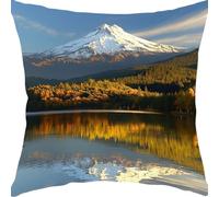 Cushion Covers 55x55cm Sofa Cushions Soft Velvet Cushion Covers Decorative Sofa Pillows with Invisible Zipper Throw Pillow Cases, for Living Room Bedroom Bed Cushions Gifts Snow Mountain Lake YX0RB816
