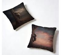 Cushion Covers 60 x 60 Pillow Cases 2 Pack Black Sofa Cushions 24x24 Inch Decorative Pillows Elephant Outdoor Pillowcase Linen, HD Double Sided Printing Bench Home Decoration Spring Summer 6-81L95J