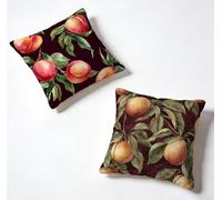 Cushion Covers 60 x 60 Pillow Cases 2 Pack Black Sofa Cushions 24x24 Inch Decorative Pillows Peach Outdoor Pillowcase Linen, HD Double Sided Printing for Garden Bench Home Decoration, Summer O-ZOA671