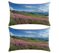 Cushion Covers 70x90 cm Set of 2 Landscape Cushions for Sofa Throw Pillow Cases 28x36 Inches Polyester Linen Decorative Pillows Wildflower Cushion Cover for Sofa Bench Couch Garden Outdoor (XY338)