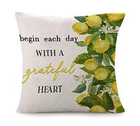 Cushion Covers Begin Each Day With A Grateful Heart Cushion Case Cozy Pillow Cover Double Sided Printing Pillowcases For Office Living Room Sofa 45X45CM