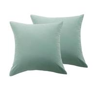Cushion Covers Duck Egg Blue, Pillow Cases 2 Pack Outdoor Cushion Cover 18x18 Inches for Garden Furniture Light Blue Pillowcases Cushions for Patio Couch Sofa Balcony, 45x45cm