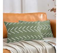 Cushion Covers,Velvet Pillow Covers 30x50 cm Pack of 2 Light Green Square Pillowcase with White Arrows Print Blend Decorative Soft Solid Throw Pillow Covers Sofa Cushion Cases