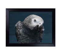 Cushioned Lap Tray with Bean Bag Base for Laptop & Eating - African Grey Parrot Art Design | Padded Lap Desk for Sofa, Bed & Work | Portable TV Dinner & Breakfast Tray, Easy Clean Surface