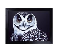 Cushioned Lap Tray with Bean Bag Base for Laptop & Eating - An Enigmatic Owl Design | Padded Lap Desk for Sofa, Bed & Work | Portable TV Dinner & Breakfast Tray, Easy Clean Surface