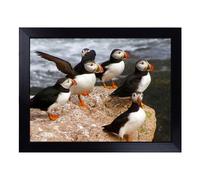 Cushioned Lap Tray with Bean Bag Base for Laptop & Eating - Atlantic Puffin Birds Art Design | Padded Lap Desk for Sofa, Bed & Work | Portable TV Dinner & Breakfast Tray, Easy Clean Surface