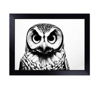 Cushioned Lap Tray with Bean Bag Base for Laptop & Eating - Barn Owl Monochrome Design | Padded Lap Desk for Sofa, Bed & Work | Portable TV Dinner & Breakfast Tray, Easy Clean Surface