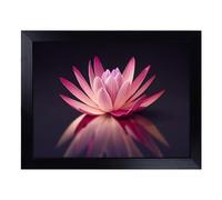 Cushioned Lap Tray with Bean Bag Base for Laptop & Eating - Captivating Water Lily Flower Design | Padded Lap Desk for Sofa, Bed & Work | Portable TV Dinner & Breakfast Tray, Easy Clean Surface