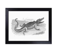 Cushioned Lap Tray with Bean Bag Base for Laptop & Eating - Crocodile In Black & White By George Shaw Design | Padded Lap Desk for Sofa, Bed & Work | Portable TV Dinner & Breakfast Tray