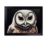 Cushioned Lap Tray with Bean Bag Base for Laptop & Eating - Face Of An Owl Vol.2 Design | Padded Lap Desk for Sofa, Bed & Work | Portable TV Dinner & Breakfast Tray, Easy Clean Surface