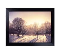 Cushioned Lap Tray with Bean Bag Base for Laptop & Eating - Fierce Winter Forest Design | Padded Lap Desk for Sofa, Bed & Work | Portable TV Dinner & Breakfast Tray, Easy Clean Surface