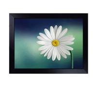 Cushioned Lap Tray with Bean Bag Base for Laptop & Eating - Flower Beautiful White Daisy Art Design | Padded Lap Desk for Sofa, Bed & Work | Portable TV Dinner & Breakfast Tray, Easy Clean